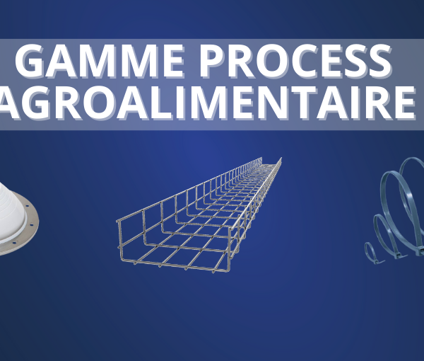 PROCESS AGROALIMENTAIRES